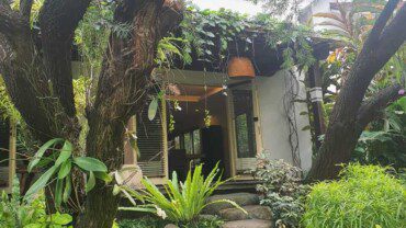 A green compound house in Pejaten, best price